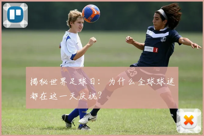 揭秘世界足球日：为什么全球球迷都在这一天庆祝？